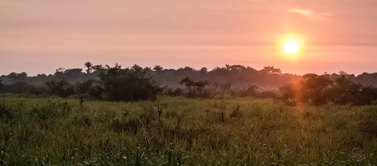 1578496234bolivia4388214_960_720 copiar