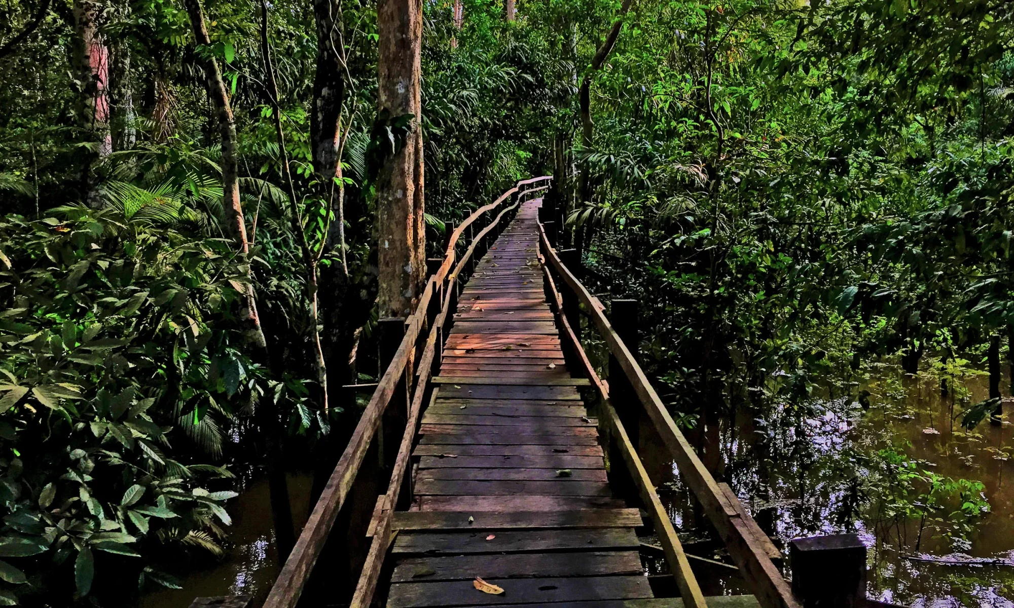 160154114960excursion copiar