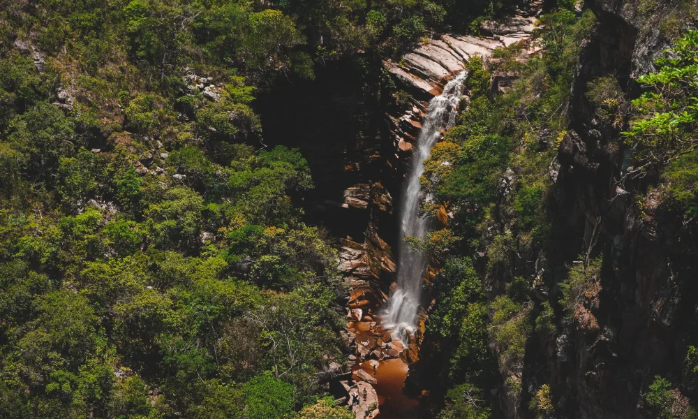 1601541261matheusseijigoto1C0dYoAdADEunsplash copiar