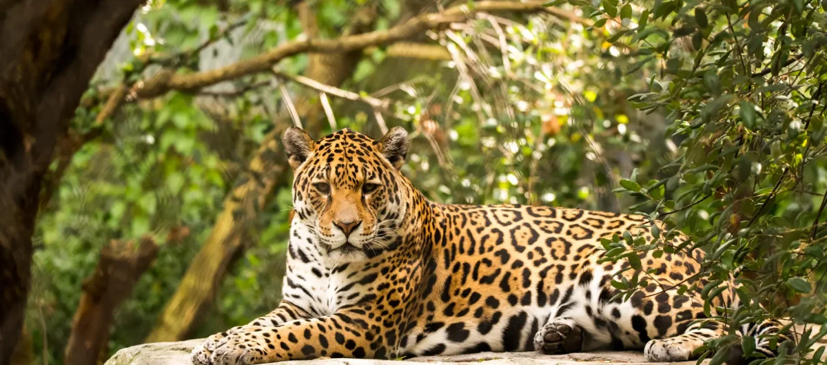 1601551849ramonvloon9Up5W9NITQwunsplash copiar