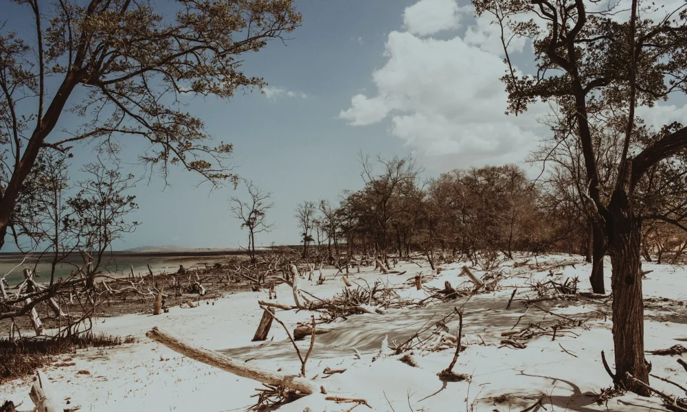 1601552483Jericoacoara copiar