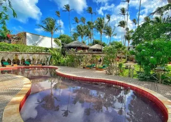 1637090517283448791 copiar