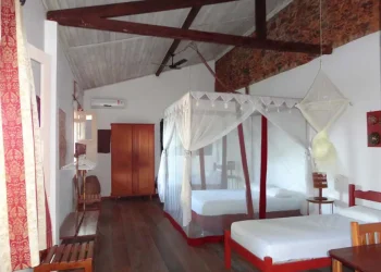 1637866766lavinia copiar